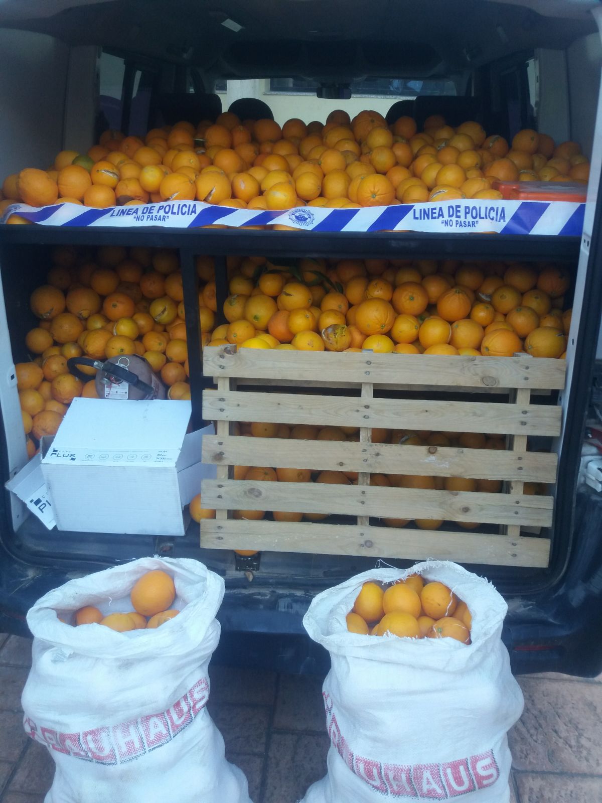 Policía Local de Torrent recupera 900 kilos de naranjas y 60 de limones