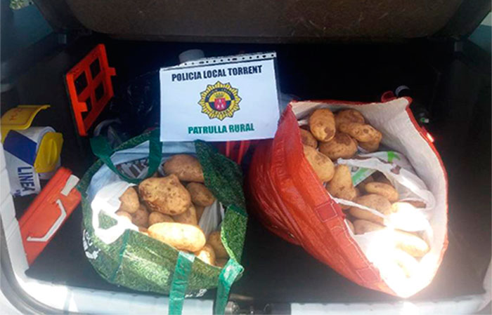 La Policia Local de Torrent confisca 2.000 quilos de productes del camp