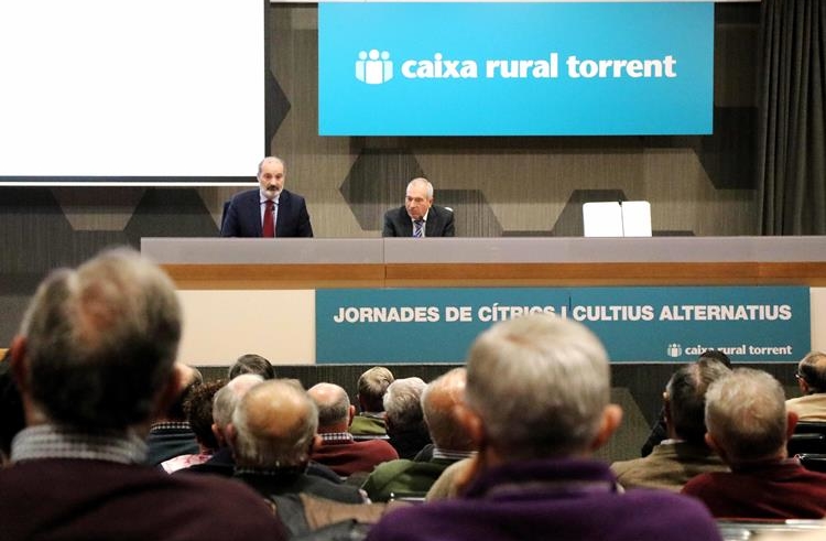 Comienzan las Jornadas de Cítricos Alternativos de Caixa Rural ... Comienzan las Jornadas de Cítricos Alternativos de Caixa Rural ...