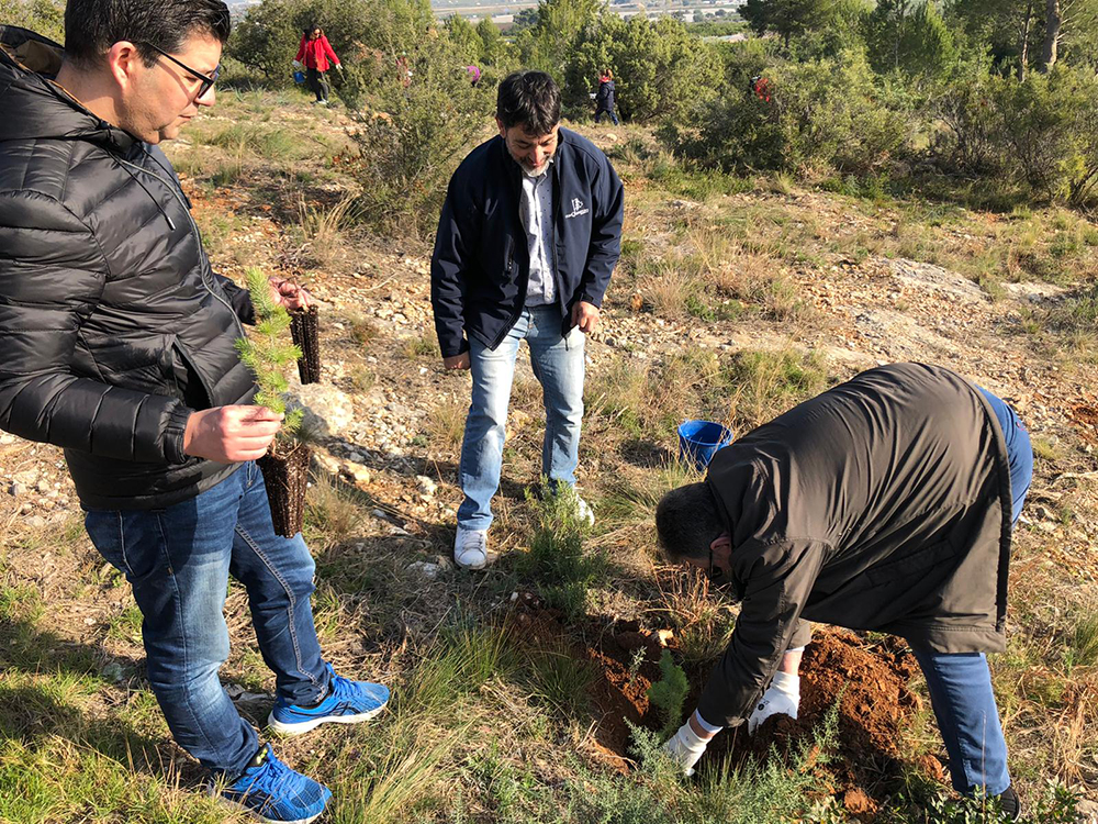 Nicolau Andreu, Cronista i Soterranya organitzen una jornada de reforestació de la Serra Perenxisa
