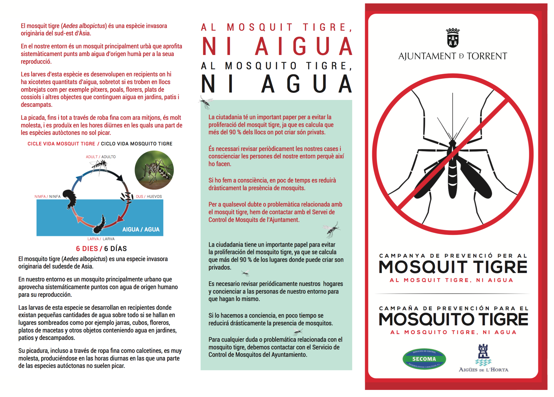 Torrent intensifica las actuaciones para combatir y eliminar al mosquito tigre